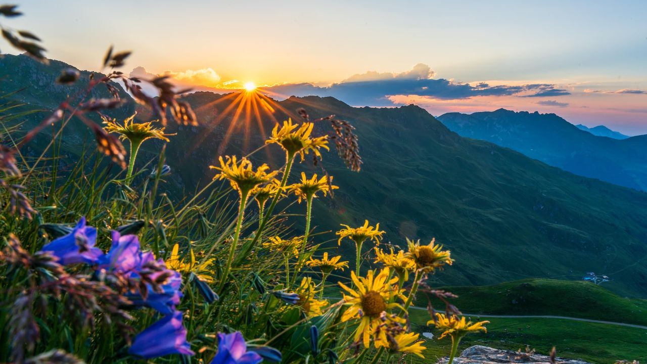 AreaSummer5KM AreaSummer5KM